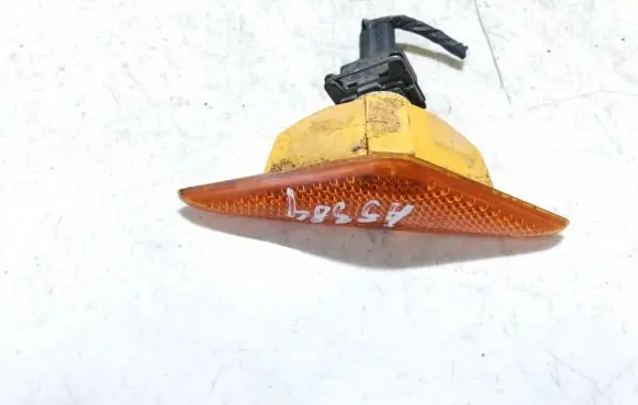 Ford Focus Front fender indicator light