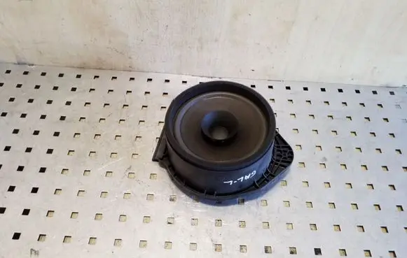 Rear door speaker