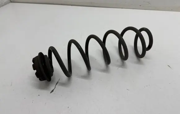 Nissan Qashqai J12 Rear coil spring 55034JD00A