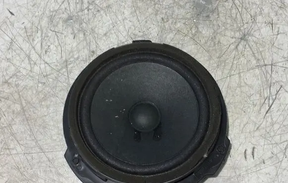 Ford Transit - Tourneo Connect Front door speaker AA6T18808AA 497930 DT1118K897AC