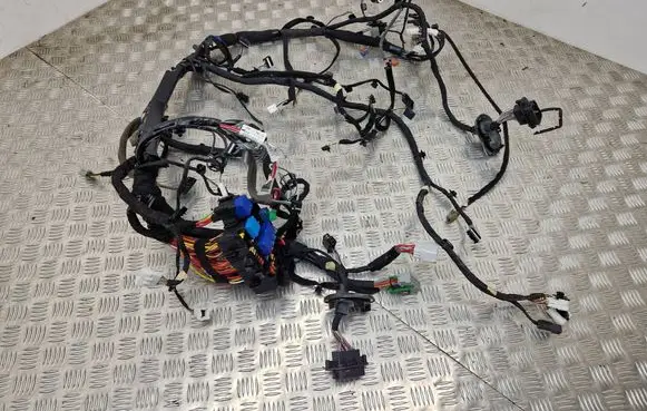 Renault Scenic IV - Grand scenic IV Other wiring loom 242964885R