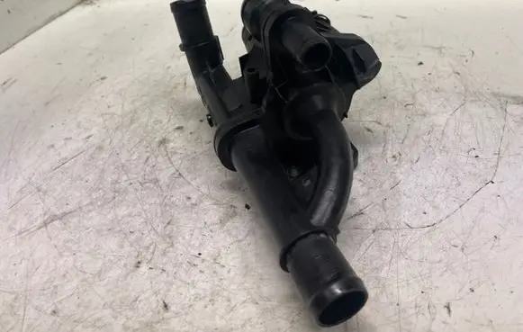 Thermostat/thermostat housing