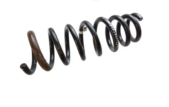 Rear coil spring