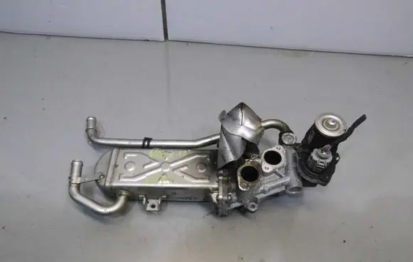 Volkswagen Polo V 6R EGR valve cooler