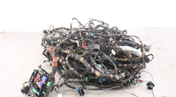 Other wiring loom