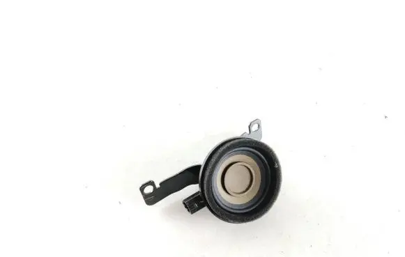 Audi e-tron Front door speaker 4KE035399A 69891R 08092106W8A