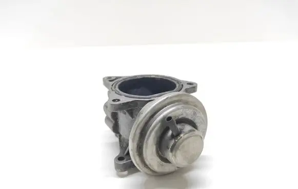 Skoda Octavia Mk2 (1Z) EGR valve 038131501 172800047