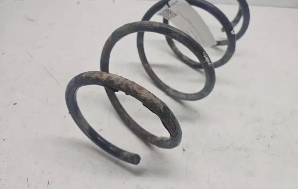Renault Megane II Front coil spring