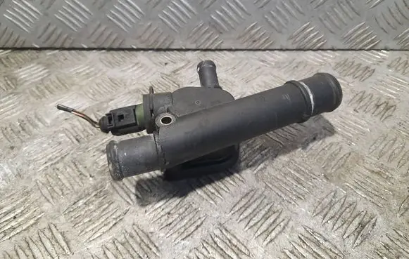 Thermostat/thermostat housing