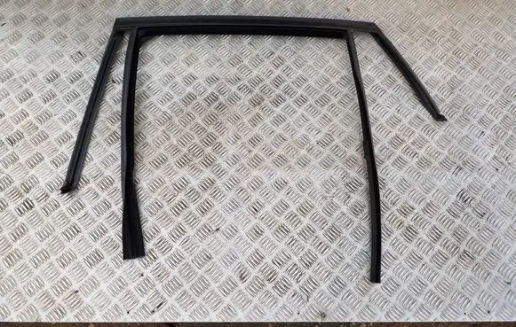 BMW X6 F16 Rubber seal rear door window/glass 7317813