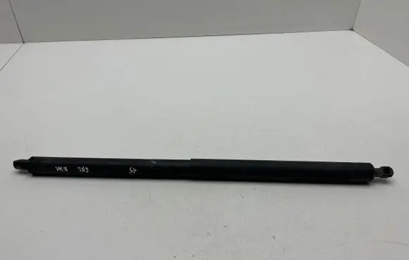 Tailgate/trunk strut/damper