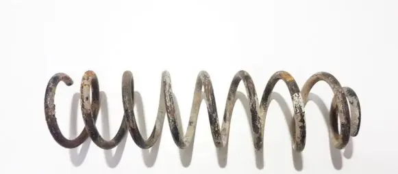 Renault Megane II Rear coil spring