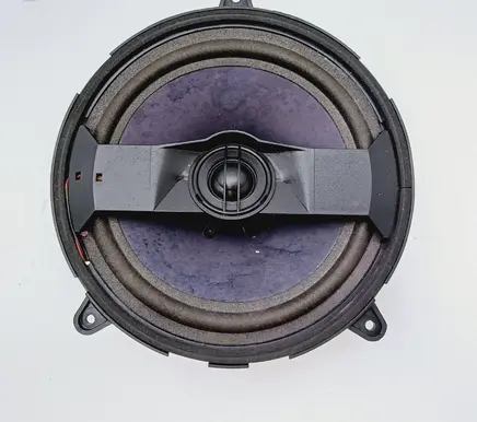 Rear door speaker
