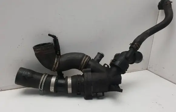 Thermostat/thermostat housing