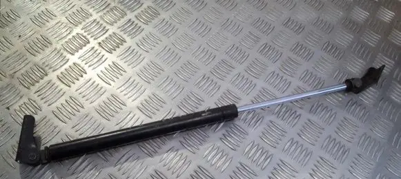 Tailgate/trunk strut/damper
