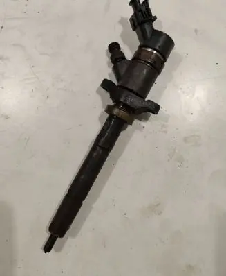 Citroen Berlingo Fuel injector 0445110239