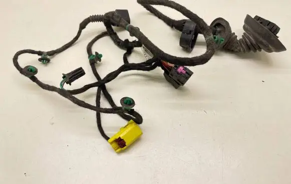 Front door wiring loom