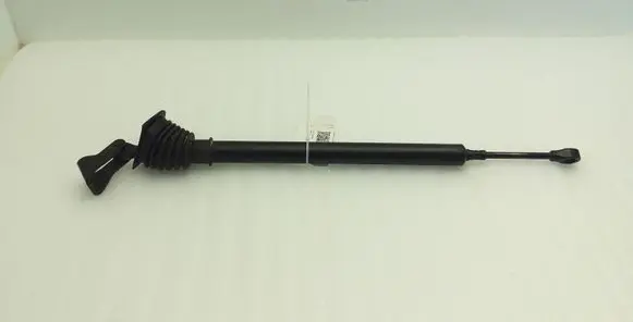 Rear door check strap stopper