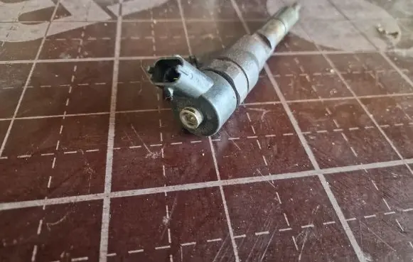 Peugeot 406 Fuel injector 0445110062