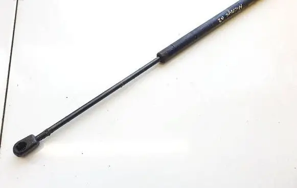 Tailgate/trunk strut/damper