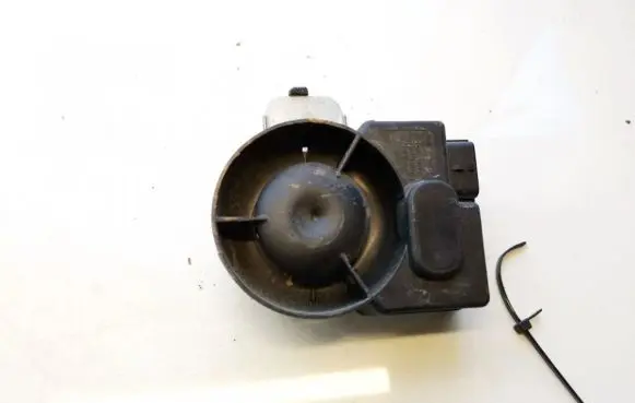 Alarm system siren
