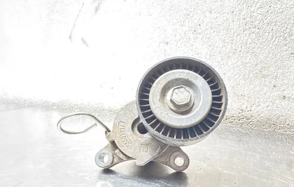 Opel Insignia B Generator/alternator belt tensioner 55577916