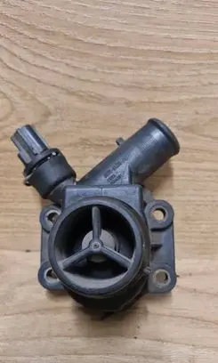 Thermostat/thermostat housing
