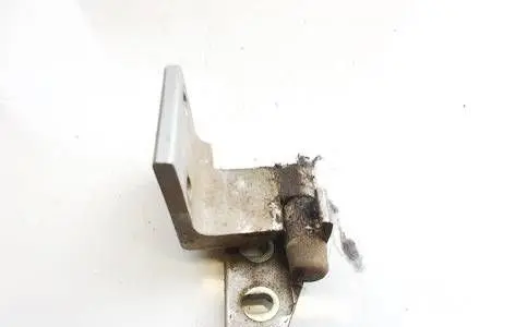 Rear door lower hinge