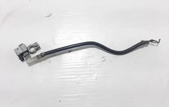 Ford Kuga II Negative earth cable (battery) F1FT10C679BA