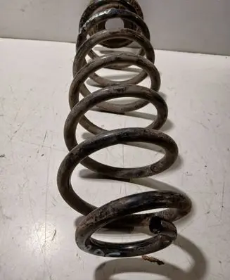 Skoda Octavia Mk2 (1Z) Rear coil spring