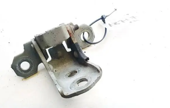 Renault Espace - Grand espace IV Rear door lower hinge