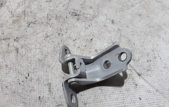 KIA Optima Front door lower hinge 