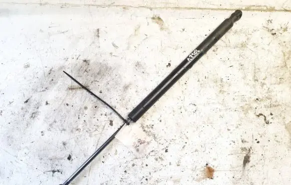 Renault Scenic II - Grand scenic II Tailgate/trunk strut/damper