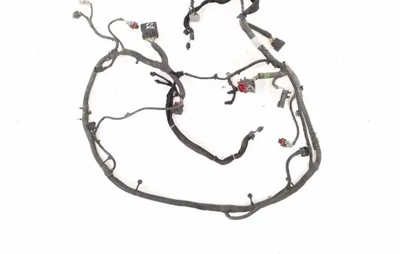 Other wiring loom