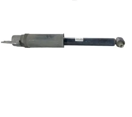 Chevrolet Equinox Rear shock absorber/damper 84912412