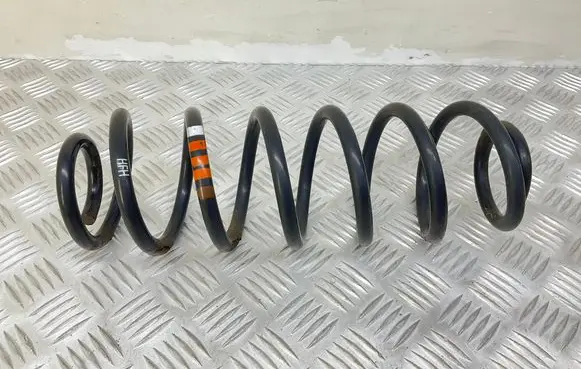 Rear coil spring