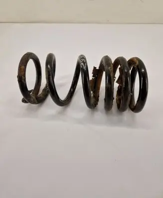 Mitsubishi Pajero Rear coil spring 
