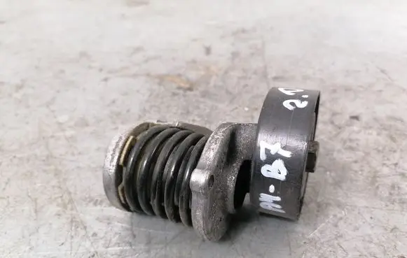 Audi A4 S4 B7 8E 8H Generator/alternator belt tensioner