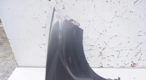 Peugeot 4007 Fender