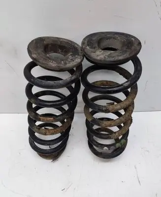 Volkswagen PASSAT B6 Rear coil spring