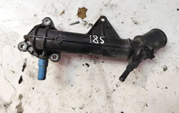 Thermostat/thermostat housing