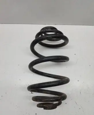 Rear coil spring