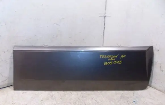 Hyundai Terracan Front door trim (molding) 87752H1020