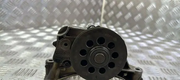 Skoda Rapid (NH) Oil pump 03L115105C GDAISi9Cu3