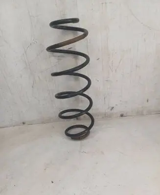 Rear coil spring