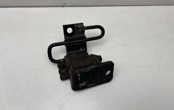 Volkswagen PASSAT B6 Front door lower hinge 3C8831411A