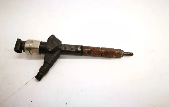 Nissan Pathfinder R51 Fuel injector 16600