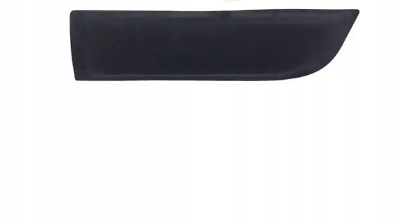 Dacia Duster Trim molding 808725725RB