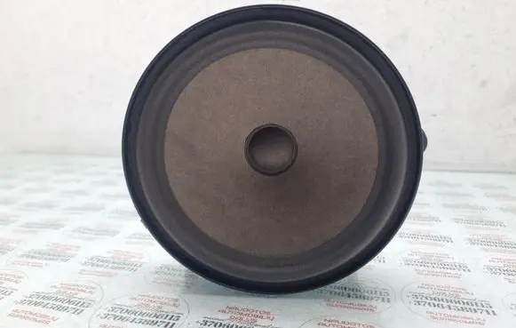 Front door speaker