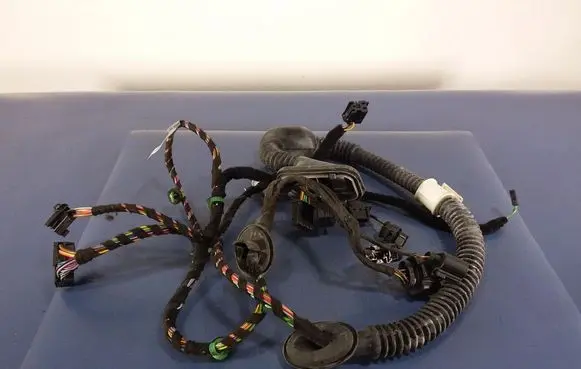Porsche Panamera (970) Other wiring loom 970612641